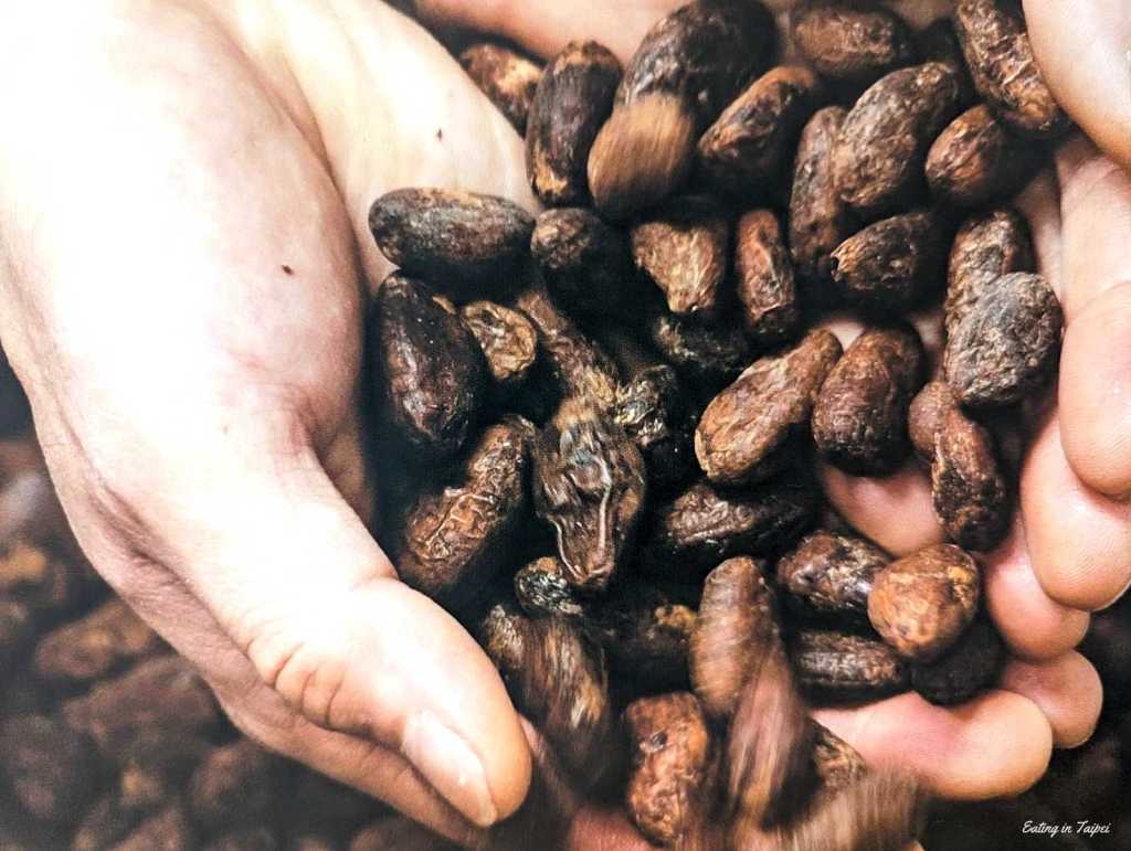 TERRA by the Sea cocao pick